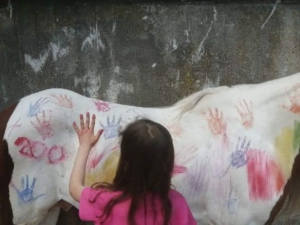Ein Mädchen drückt seine bemalte Hand auf ein weißes Pony voller bunter Handabdrücke